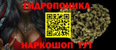 хмурый Гусь-Хрустальный